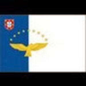 Meet your Posher, Todd